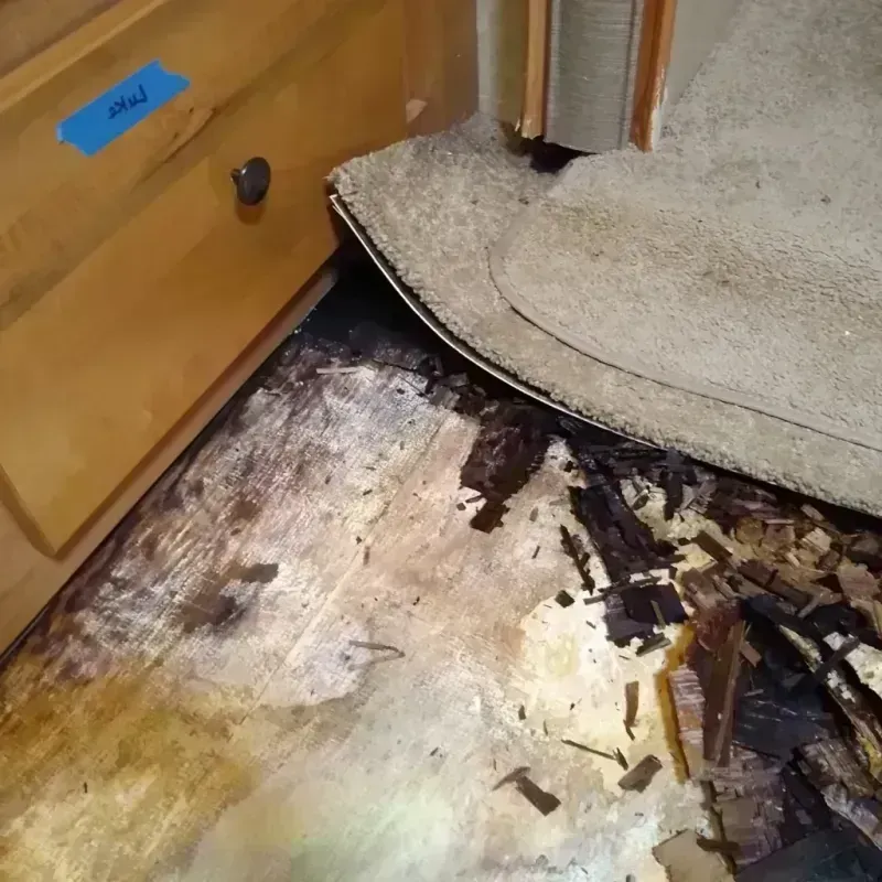 Best Wood Floor Water Damage Service in Hennepin County, MN